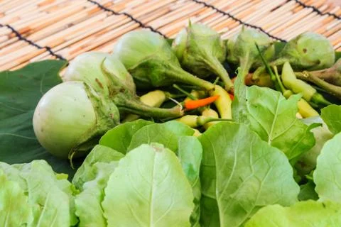 True vegetable on leaf and bamboo blind floor Stock Photos
