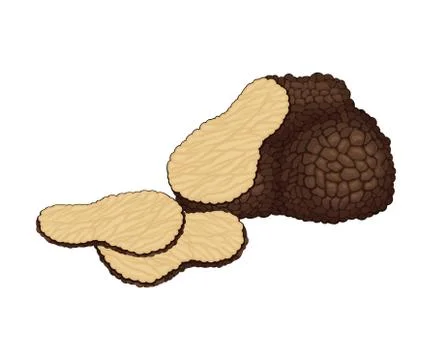Truffle and Thin Slices as Subterranean Ascomycete Fungus Vector Illustration Illustrazione stock
