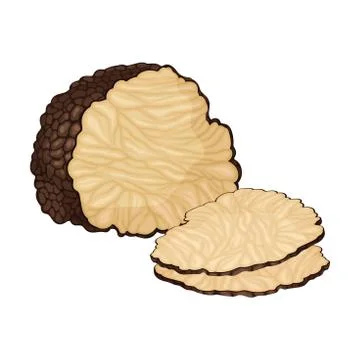 Truffle and Thin Slices as Subterranean Ascomycete Fungus Vector Illustration Illustrazione stock