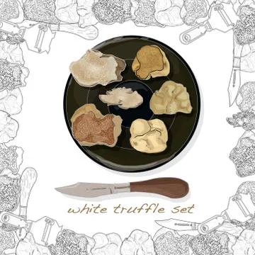 Truffle mushroom illustration on white. Vector image set 스톡 일러스트