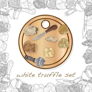 Truffle mushroom illustration on white. Vector image set 스톡 일러스트