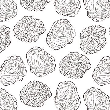 Truffle mushrooms seamless pattern line art style. For wrapping paper, wallpaper Stock Illustration