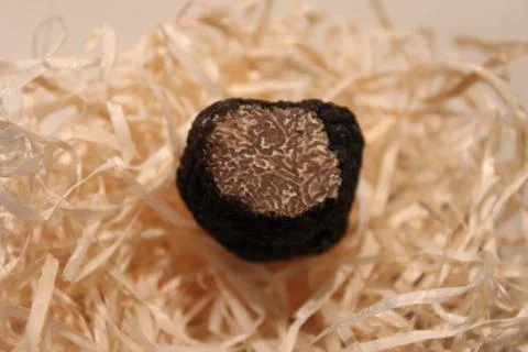 Truffle Stock Photos