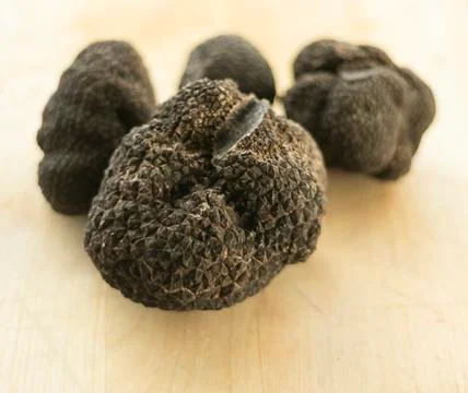 Truffle 스톡 사진