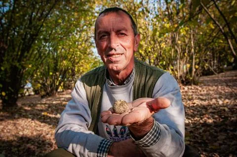 Truffle Stock Photos