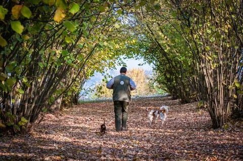 Truffle Stock Photos