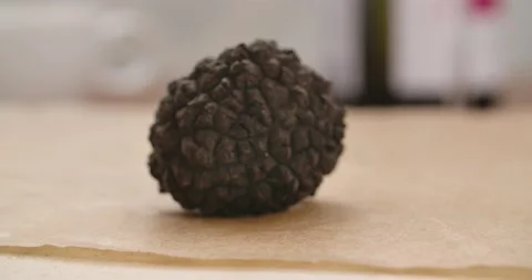 Truffle Pieces Stock Footage 142313937