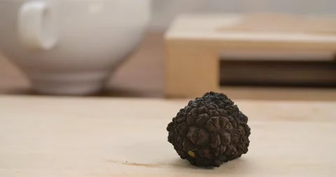 Truffle on the Table Stock Footage 142311744