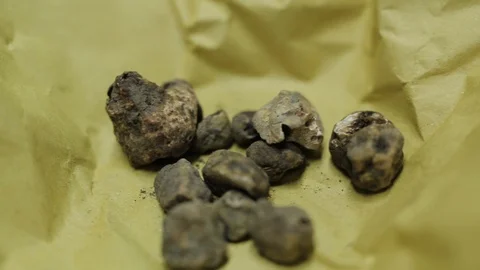 Truffles on parchment paper Stock Footage 107568878