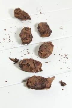 Truffles Foto stock
