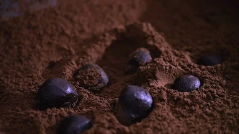 TRUFFLES ROLLED IN COCOA POWDER Stock Footage 132687877
