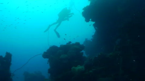 Truk Lagoon 動画素材 701541