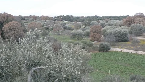 Trulli, typical house in Apulia Video stock 86815996