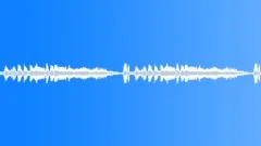 Trumloop1Sound Effect