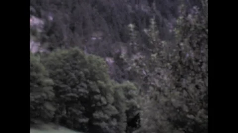 Trummelbach Falls 1967 Stock Footage 252233439