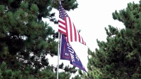 Trump Flag Stock Footage 124925583