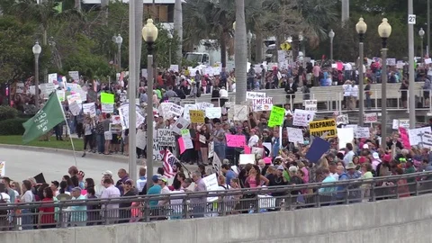 Trump Protest Large Crowd Zoom Out Stock Footage 72291508