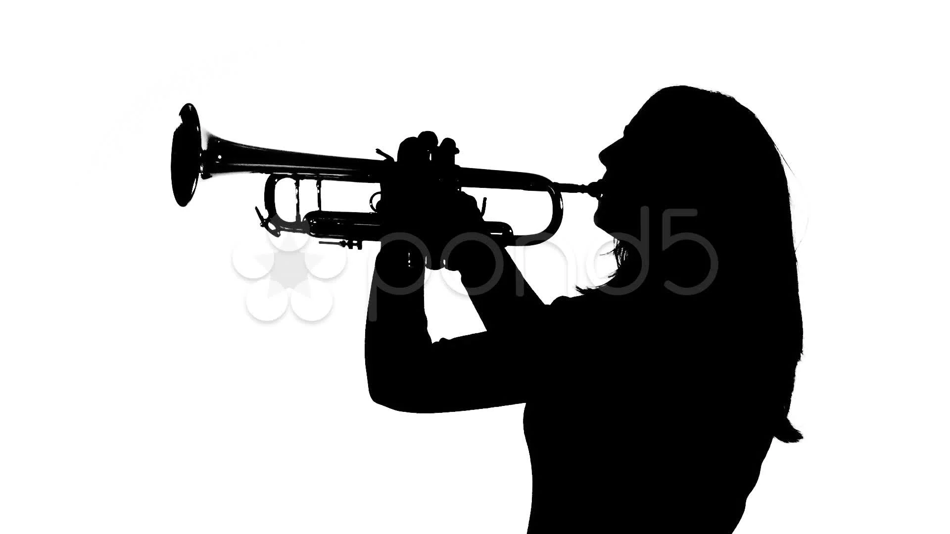 Raster Silhouette Of A Woman Kneeling While Playing A Trumpet. Stock Photo,  Picture and Royalty Free Image. Image 11291813.