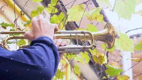 Trumpet player Stock Footage 103700222