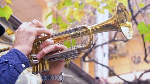 Trumpet player Stock Footage 103700291