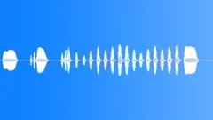 TRUMPETSound Effect