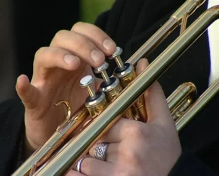 Trumpeter Stock Footage 8848913