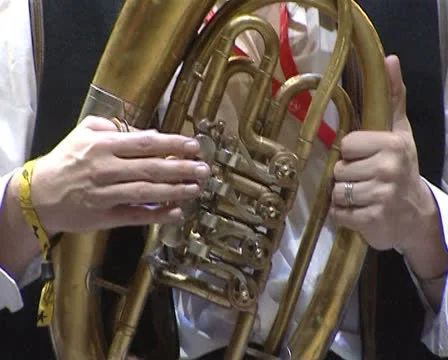 Trumpeter Stock Footage 22480865