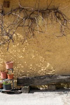Trunk as a bench in front of a rustic wall under some branches without leaves Stock Photos