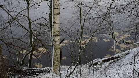 Trunk of a birch in a beautiful light on the river bank Stock Footage 120601746