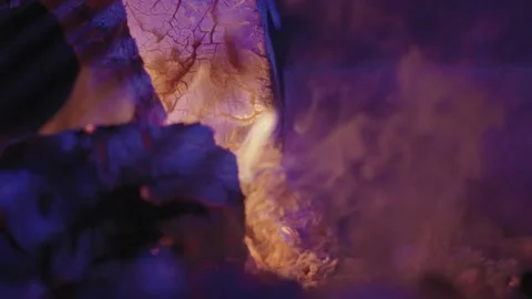 Trunk burning Vidéo 231358470