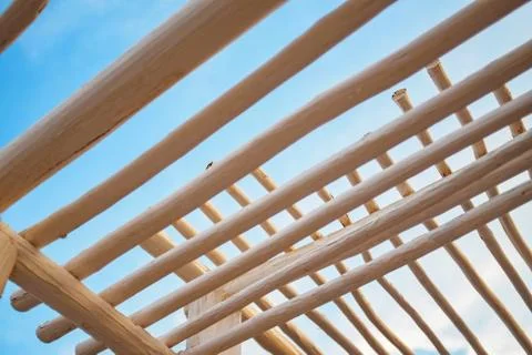 Trunk Canopy Structure Stock Photos