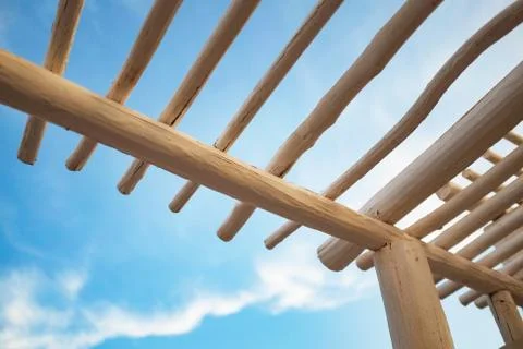 Trunk Canopy Structure Stock Photos