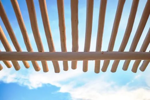 Trunk Canopy Structure Stock Photos