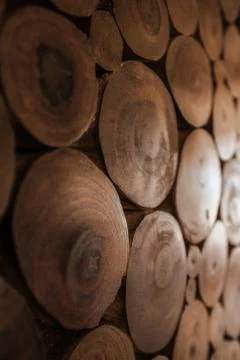 Trunk Circles Background Stock Photos