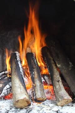 Trunk fire Stock Photos