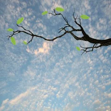 Trunk with green leaf for adv or others purpose use Foto stock