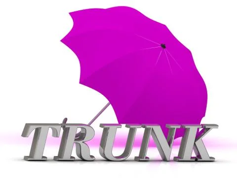 TRUNK- inscription of silver letters and umbrella on white background.. Stock Illustration