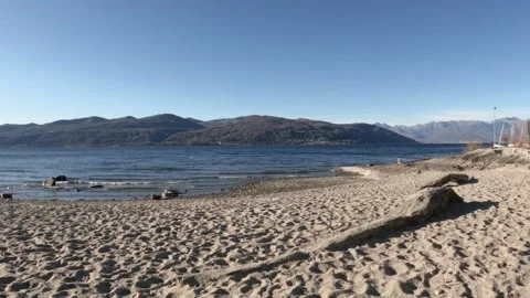 Trunk by the lake Stock Footage 199759502