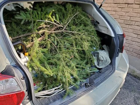 Trunk Loaded with Yard Waste Stock Photos