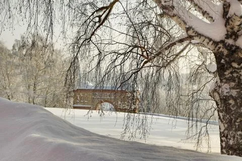 Trunk of old birch with bricks arched gate on background Stock Photos