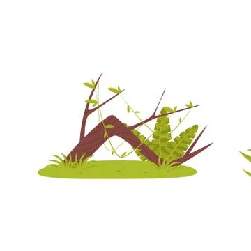 Trunk of old broken tree and tropical plants, element of jungle landscape vector Stock Illustration