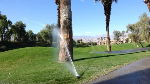 Trunk of a palm tree being hit by spray from irrigation. Stock Footage 121598481