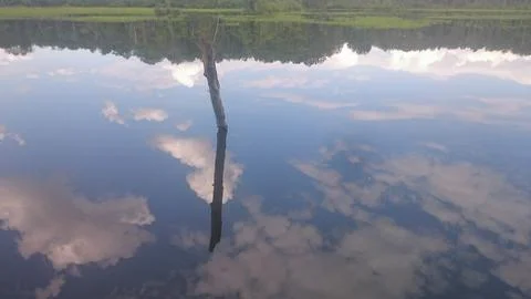 A trunk protruding above the smooth surface of the lake reflecting clouds Stock Photos
