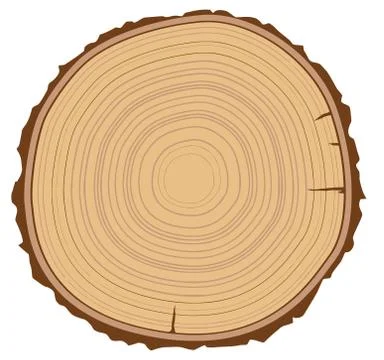 Trunk round cut wooden texture nature lines illustration Illustrazione stock