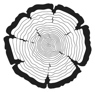 Trunk saw cut. Concentric linear tree rings Stock Illustration