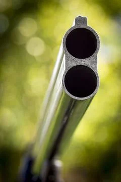 The trunk of shotgun Stock Photos