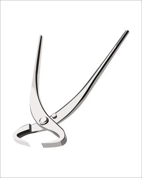 Trunk Splitter Stock Illustration