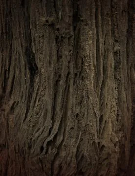 Trunk texture Stock-Fotos