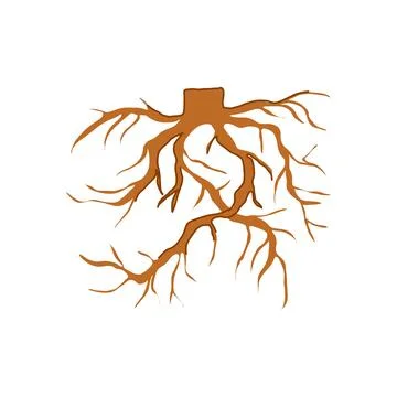 Trunk tree root cartoon vector illustration Stock Illustration