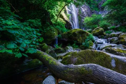 Trunk under the stream and the waterfall Stock Photos